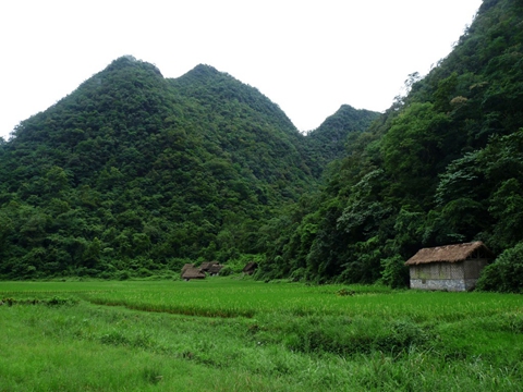 荔波喀斯特原始森林、水上森林和“漏斗”森林，合称“荔波三绝”