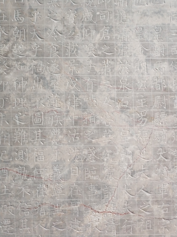 罗婉顺墓志(局部),书者为颜真卿