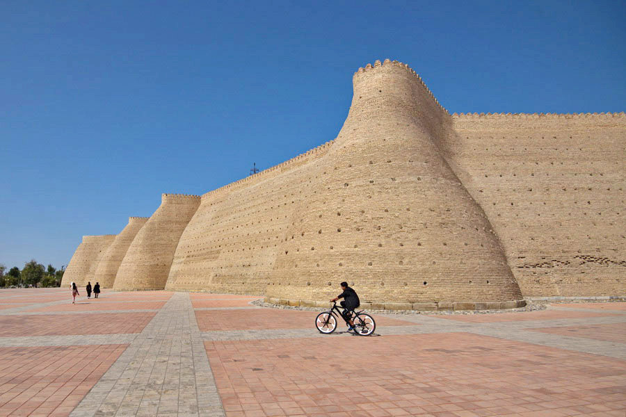 Ark Fortress